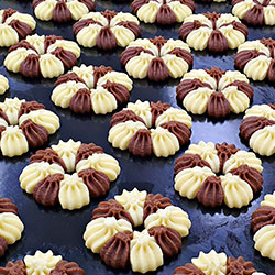 paircookie-13-250x250