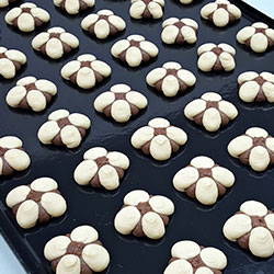 paircookie-19-250x250