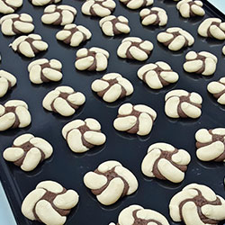 paircookie-20-250x250