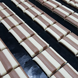 paircookie-21-250x250